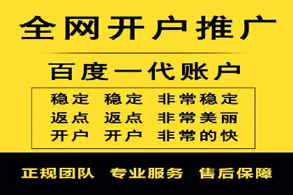 行业领先企业的SEM竞价推广策略揭秘